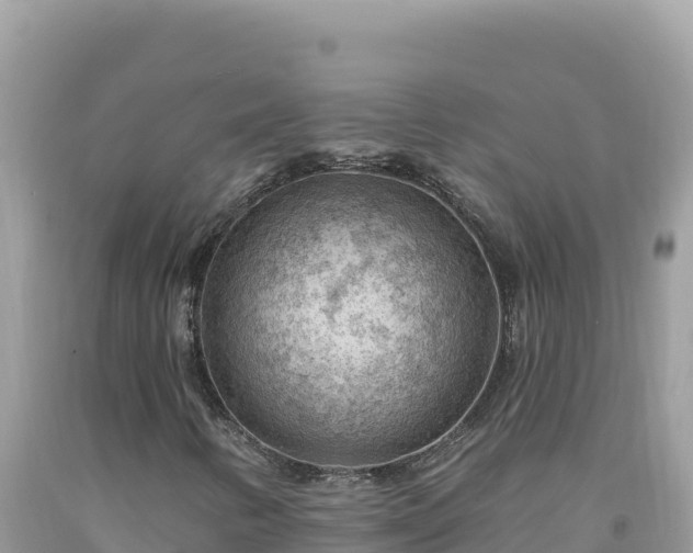 X0000092031346200709131610