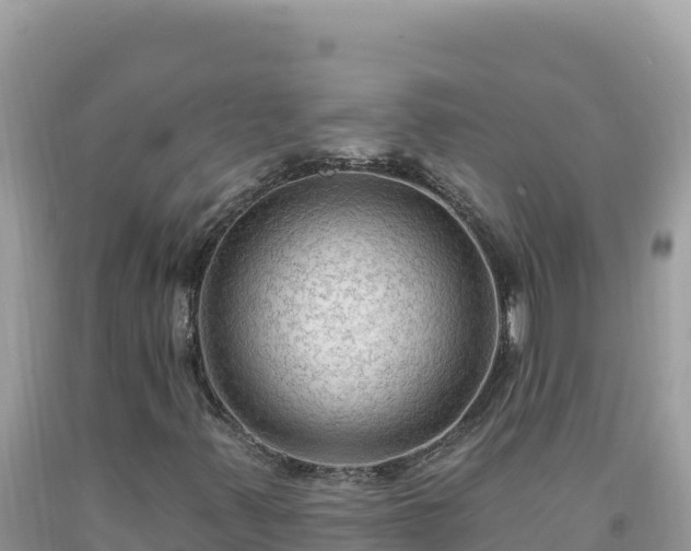 X0000092031347200709131610
