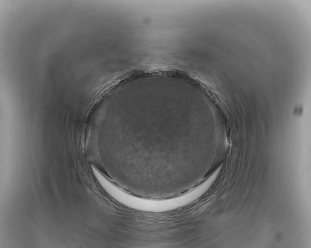 X0000092031348200709131610