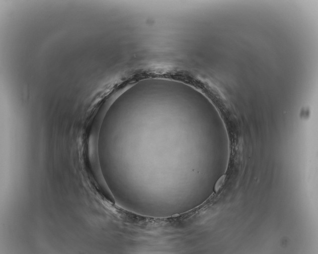 X0000092031349200709131610