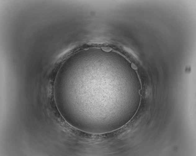 X0000092031350200709131610