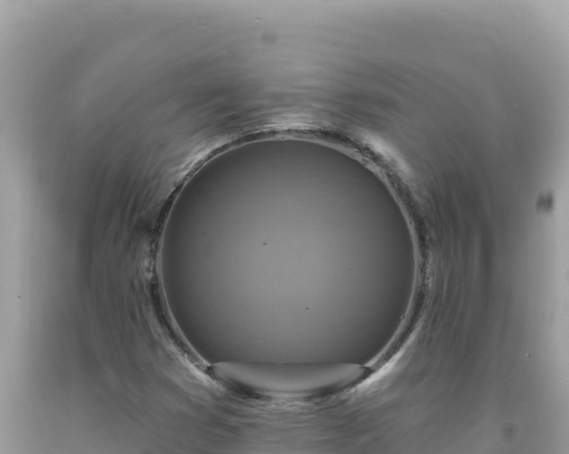 X0000092031353200709131610