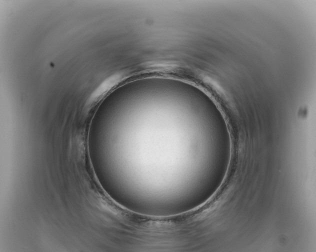 X0000092031354200709131610