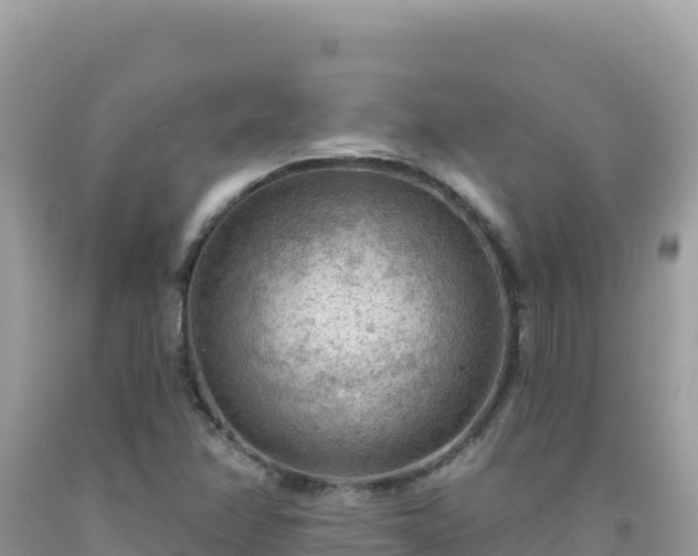 X0000092031358200709131610