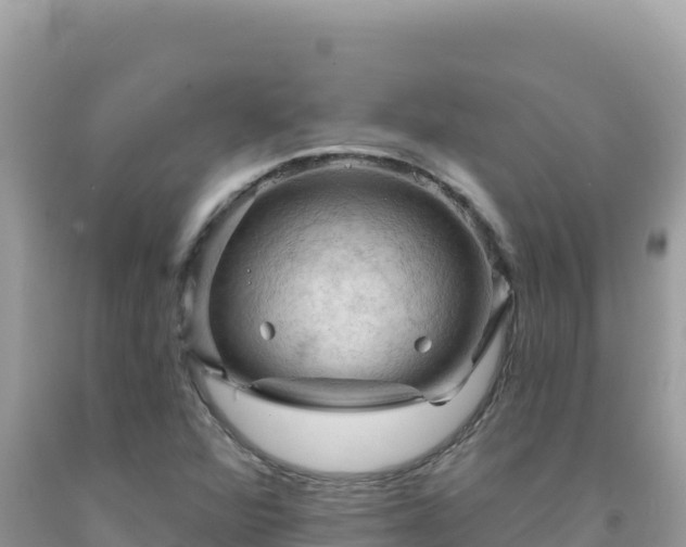 X0000092031360200709131610