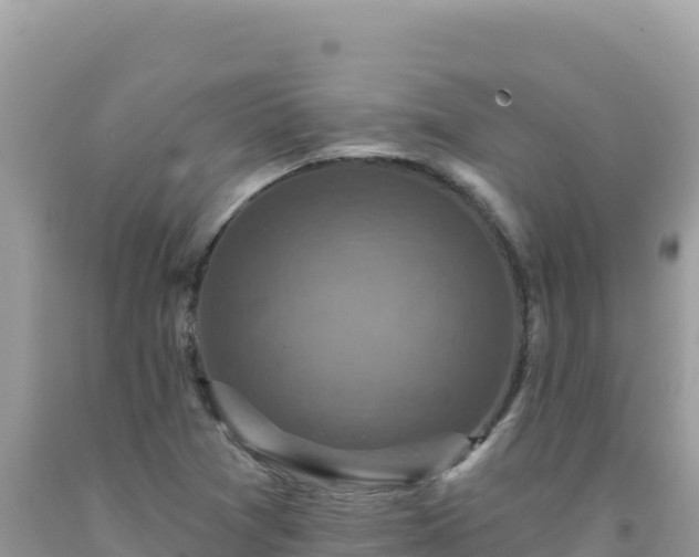 X0000092031361200709131610