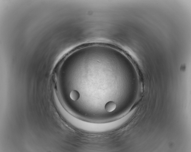 X0000092031364200709131610