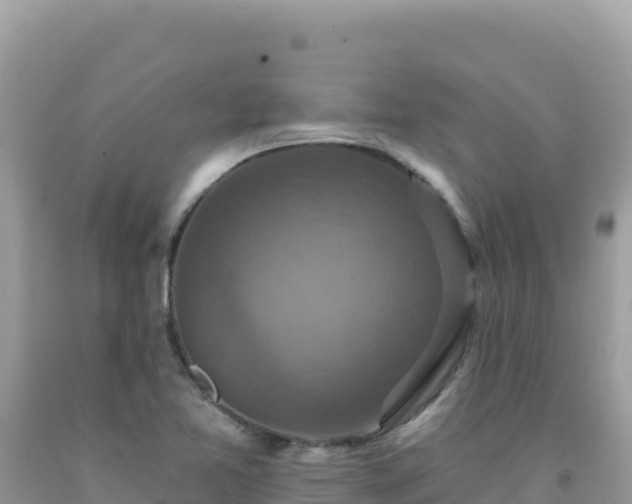X0000092031365200709131610