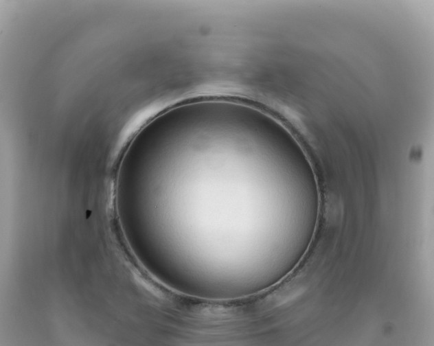 X0000092031366200709131610