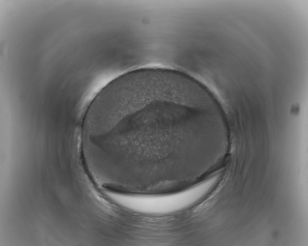 X0000092031367200709131610