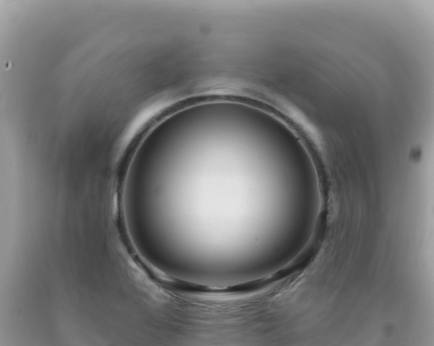 X0000092031368200709131610