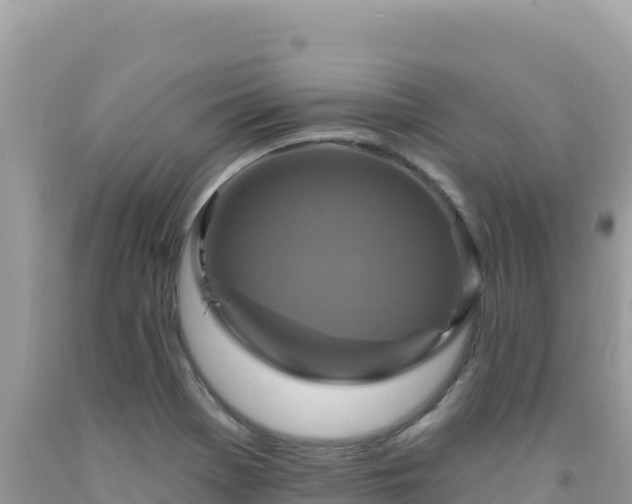 X0000092031369200709131610