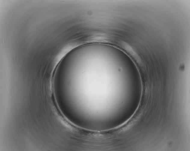 X0000092031370200709131610