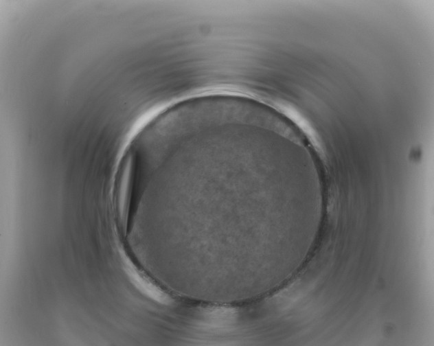 X0000092031372200709131610