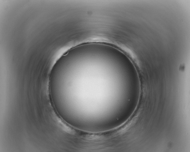 X0000092031374200709131610