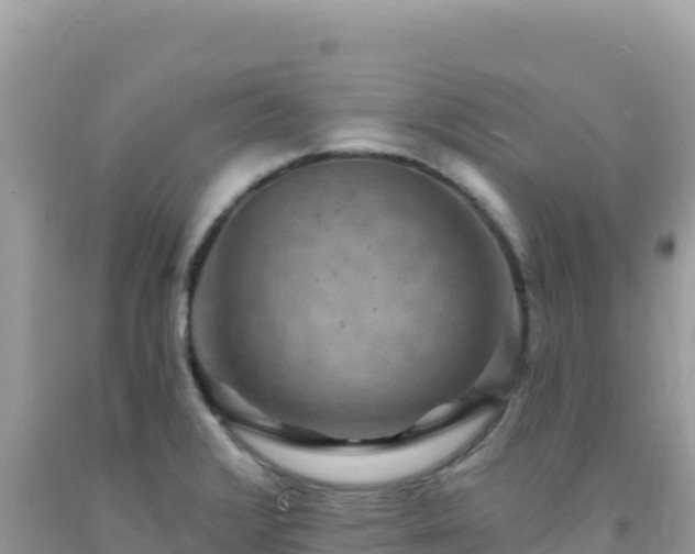 X0000092031376200709131610
