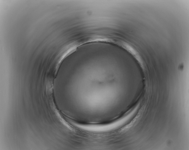 X0000092031377200709131610
