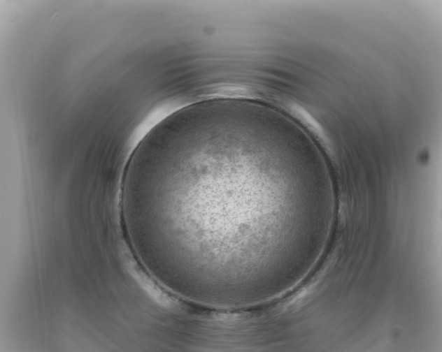 X0000092031378200709131610