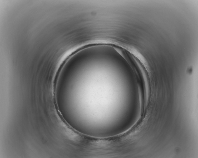 X0000092031380200709131610