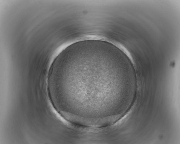 X0000092031381200709131610