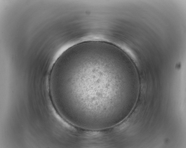 X0000092031382200709131610