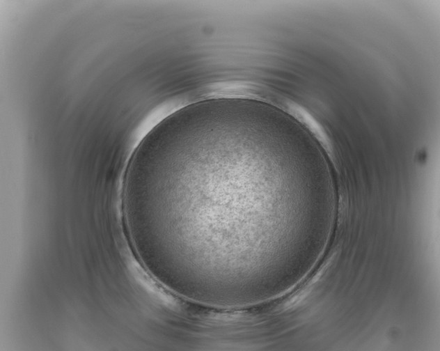 X0000092031386200709131610