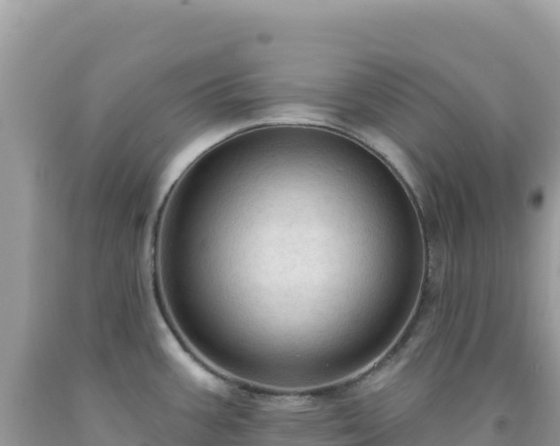X0000092031387200709131610