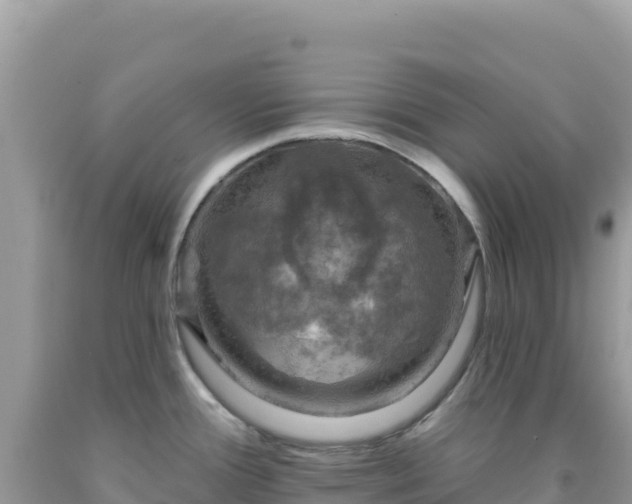 X0000092031388200709131610