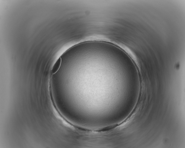 X0000092031390200709131610