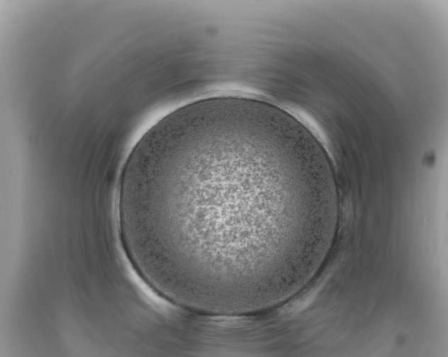 X0000092031391200709131610