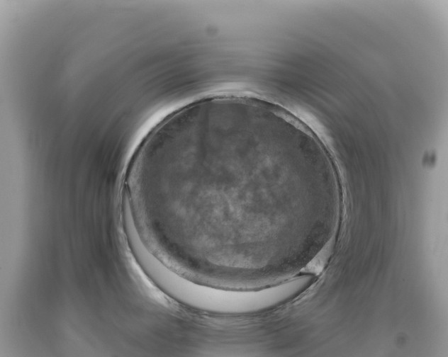 X0000092031392200709131610