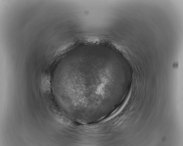 X0000092031394200709131609
