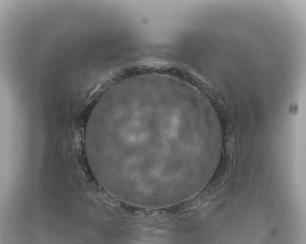 X0000092031397200709131609