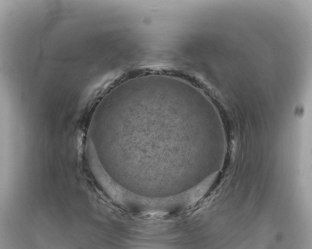 X0000092031398200709131609