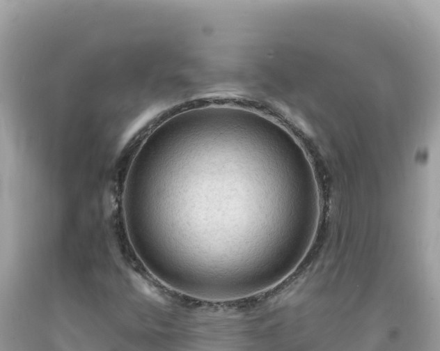 X0000092031400200709131609