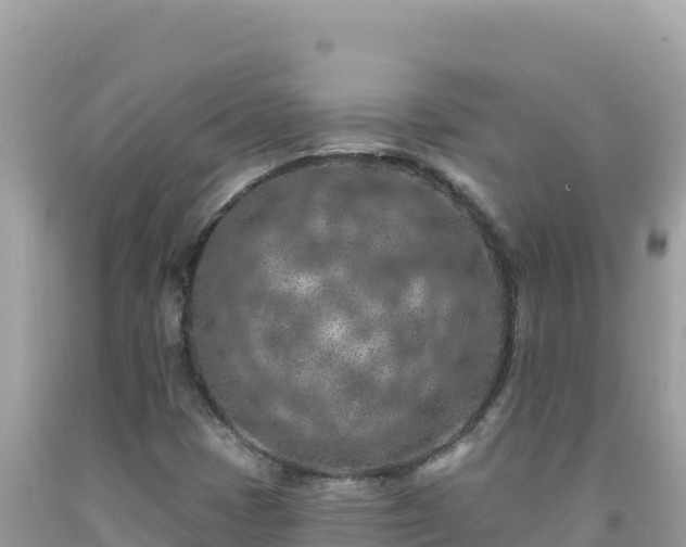 X0000092031401200709131609