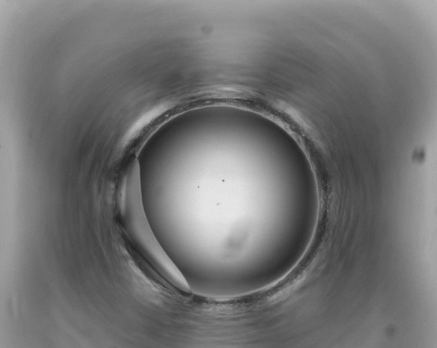 X0000092031402200709131609