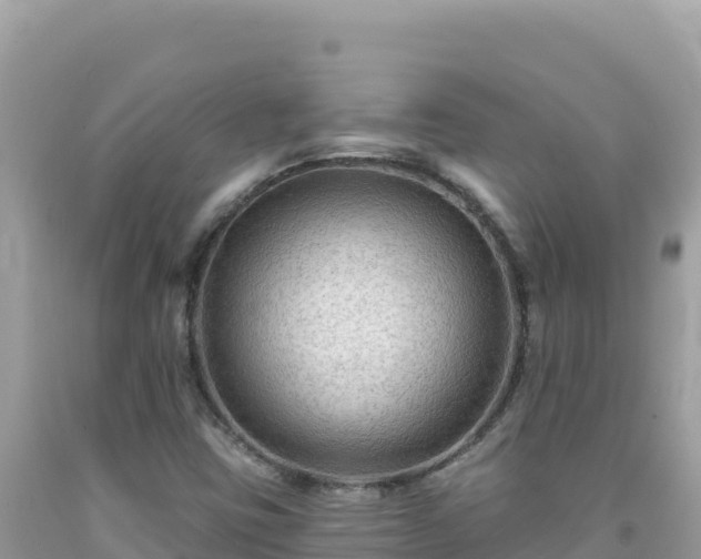 X0000092031403200709131609