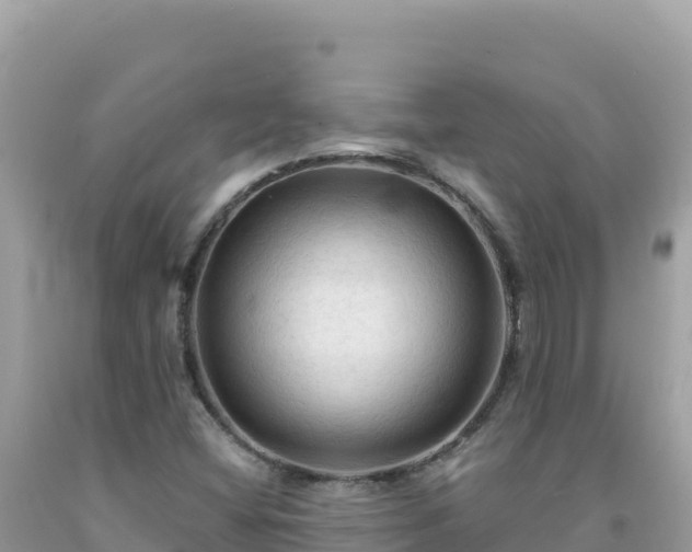 X0000092031404200709131609