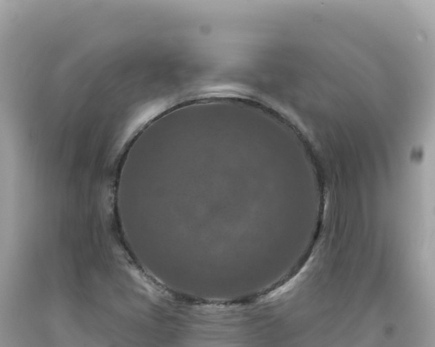 X0000092031405200709131609