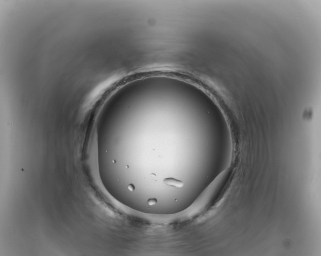 X0000092031406200709131609