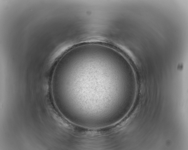 X0000092031407200709131609