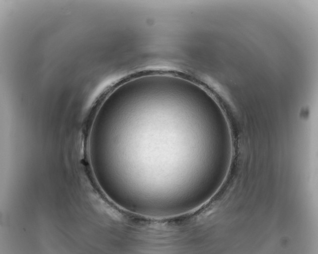 X0000092031408200709131609