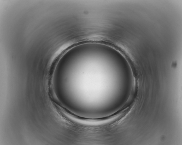 X0000092031410200709131609