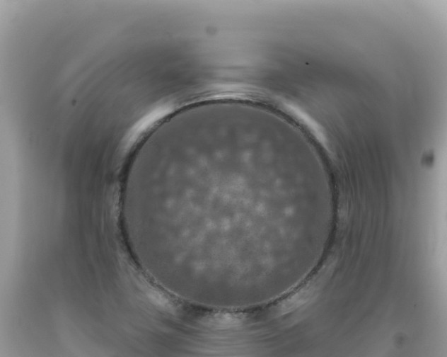 X0000092031411200709131609