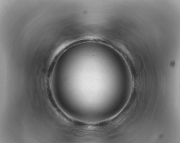 X0000092031412200709131609
