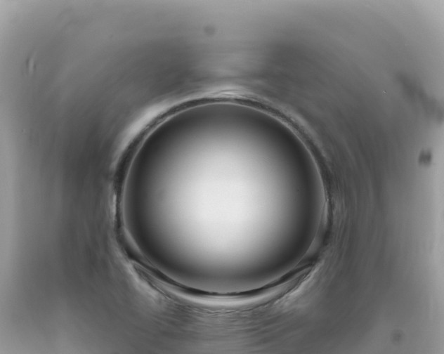 X0000092031414200709131609