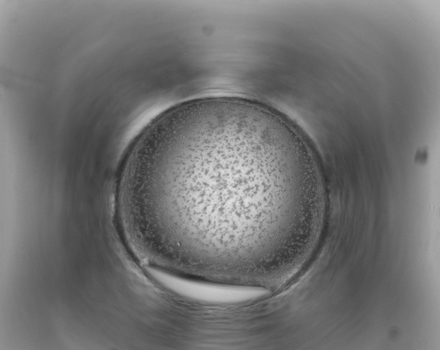 X0000092031415200709131609