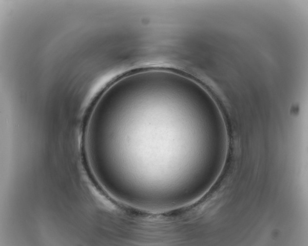 X0000092031416200709131609