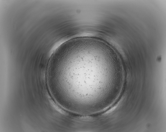 X0000092031417200709131610